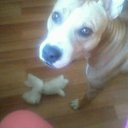 ���� �����, ���������, 49 ��� - ��������� 23 ��� 2013 � ������ ���� ����������