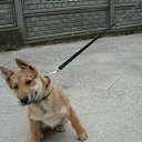 ���� ���, ��������� - ��������� 24 ������ 2011