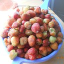 ���� �����, ������ - ��������� 5 ������� 2012 � ������ ����� ��������