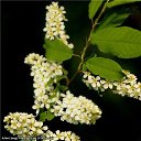 ���� ���������, ������, 71 ��� - ��������� 1 ������ 2012 � ������ ������������� ��� � �������.�