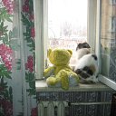 ���� ���, ������������ - ��������� 24 ������ 2012 � ������ ������