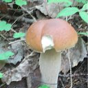 ���� ������, ���������, 47 ��� - ��������� 2 ������� 2012 � ������ �fdnjrkfd�