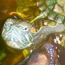 ���� �������, ������ - ��������� 16 ������� 2011 � ������ ������������