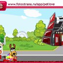  ,  , 27  -  15  2010   PetLove