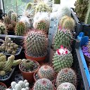 ���� ������, ������, 69 ��� - ��������� 5 ������ 2013 � ������ ���� ��������� ����������