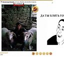 ���� �����, �����-���������, 41 ��� - ��������� 18 ������ 2012 � ������ �������