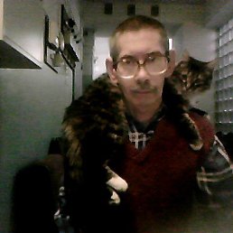 ���� ��������, ���������, 72 ���� - ��������� 5 ��� 2013