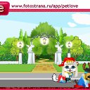  100, , 24  -  15  2011   PetLove