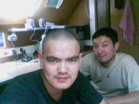 , 37, 