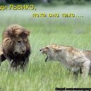 , , 46  -  1  2010    )))))))))))))