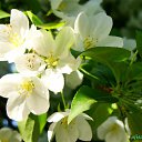 ���� ����, ������������ - ��������� 17 ������� 2010 � ������ �����ۻ