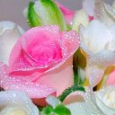  ~_o~, , 62  -  14  2012   