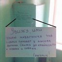 ���� �����, ����������, 47 ��� - ��������� 6 ������ 2011 � ������ ����������