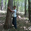 ���� ������, ���������, 32 ���� - ��������� 7 ������� 2012