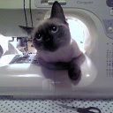 ���� ���������, ������, 55 ��� - ��������� 26 ������� 2012 � ������ ���� ����������