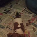  , , 39  -  24  2011    !!!