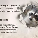 ���� �����, ����� - ��������� 14 ����� 2013 � ������ ���� ����������