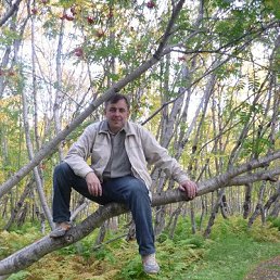 �����, ��������