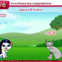  , , 28  -  11  2010   PetLove