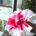 ���� ���������, �����������, 49 ��� - ��������� 5 �������� 2011 � ������ ������)))�