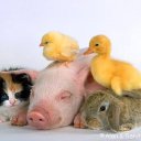 ���� ������, ��������, 48 ��� - ��������� 10 ������ 2010