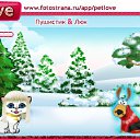  ,  -  3  2011   PetLove