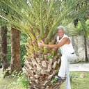 ����.2011 ���.