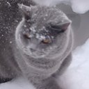 ���� ������, ������ - ��������� 24 ������� 2013 � ������ ���� ������� ))�