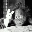 ���� ��@���, ��������� - ��������� 11 ����� 2012 � ������ ���� �������� ��������))))))�