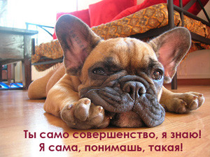 ���� ������, ��������, 30 ��� - ��������� 12 ���� 2010