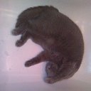 ���� �����, ��������, 57 ��� - ��������� 13 ������� 2012