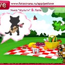  ,  -  19  2010   PetLove