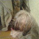 ���� �����, ���������, 41 ��� - ��������� 30 ��� 2011 � ������ ���� ��������� �������))))�