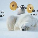 ���� ����, ������ - ��������� 8 ������ 2013 � ������ �������