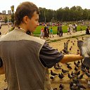  D.s., , 38  -  8  2012    2012,   / 