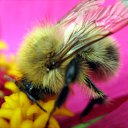 ���� �������, ��������, 37 ��� - ��������� 2 ������ 2009 � ������ ������ � �����