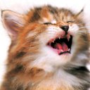 ���� Orange_juice, ������, 31 ��� - ��������� 15 �������� 2010 � ������ �������