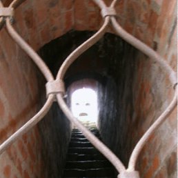 ���� ����, ����, 37 ��� - ��������� 15 �������� 2011