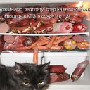 ���� �����, ����������� - ��������� 3 ������ 2010 � ������ �������