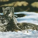 ���� ������, �������, 42 ���� - ��������� 4 ������� 2013 � ������ �������