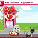 ���� ������ �����������, ������, 45 ��� - ��������� 25 ������ 2011 � ������ �PetLove�