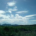  , --, 55  -  16  2010   