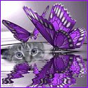 ���� ������, ������, 68 ��� - ��������� 15 ������ 2012 � ������ �������Ȼ