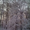 ���� ������, ������, 58 ��� - ��������� 4 ������ 2011 � ������ �����,��� � �.�.�