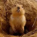 ���� ���������, �����-���������, 45 ��� - ��������� 29 ������� 2012