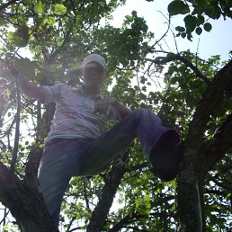 ���� ������, ������, 43 ���� - ��������� 30 ������ 2011