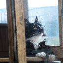 ���� �������, ��������, 53 ���� - ��������� 21 ���� 2012 � ������ �������