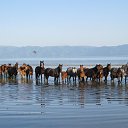 ���� ������, ����-�����������, 52 ���� - ��������� 9 ������� 2012