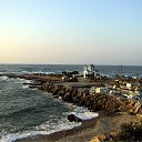  Alex, , 41  -  19  2011   ELLADA (GREECE)