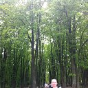 ���� ������, �����������, 63 ���� - ��������� 1 ���� 2013 � ������ ���� ����������